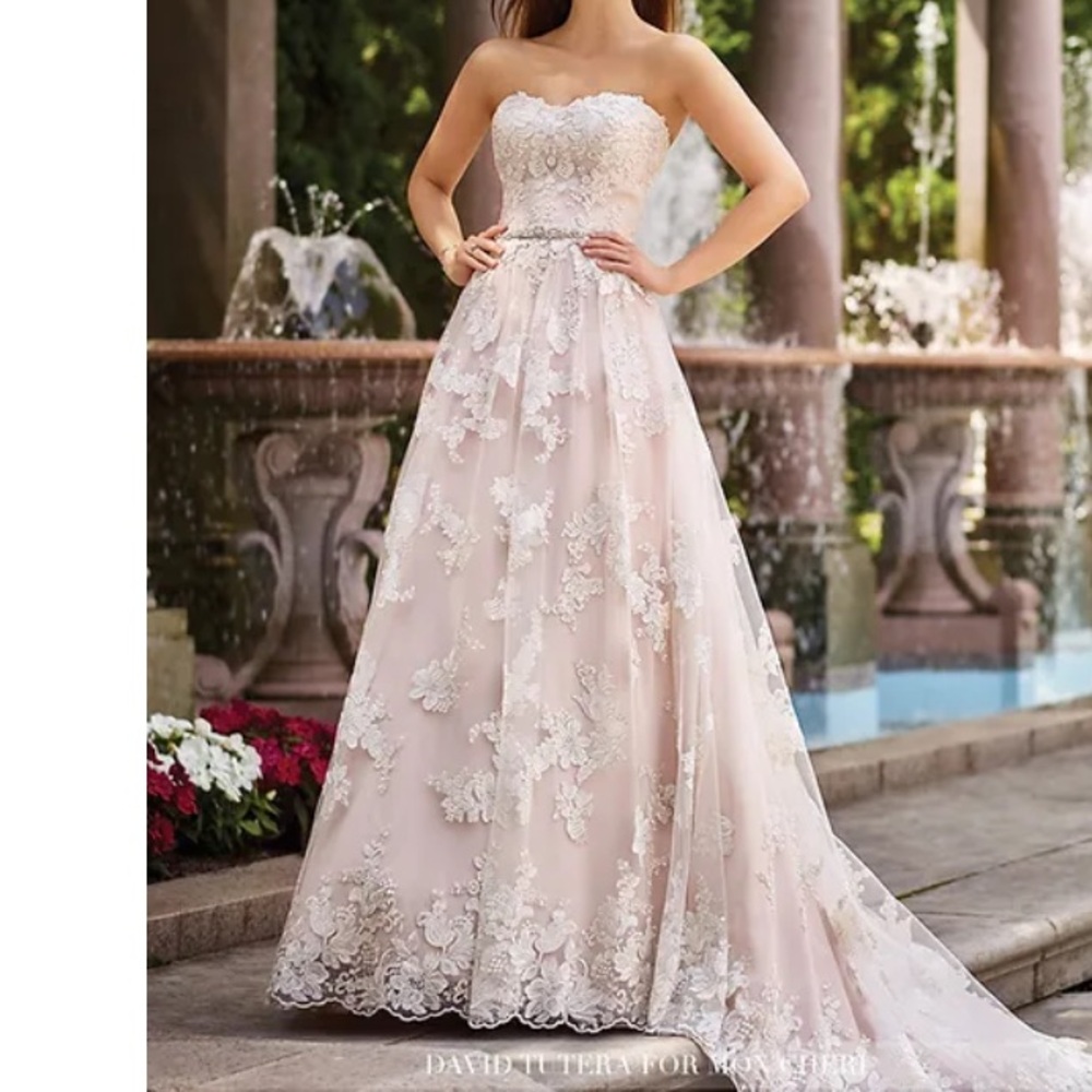 David Tutera For Mon Cheri #117276 Tala Wedding dress Size 16